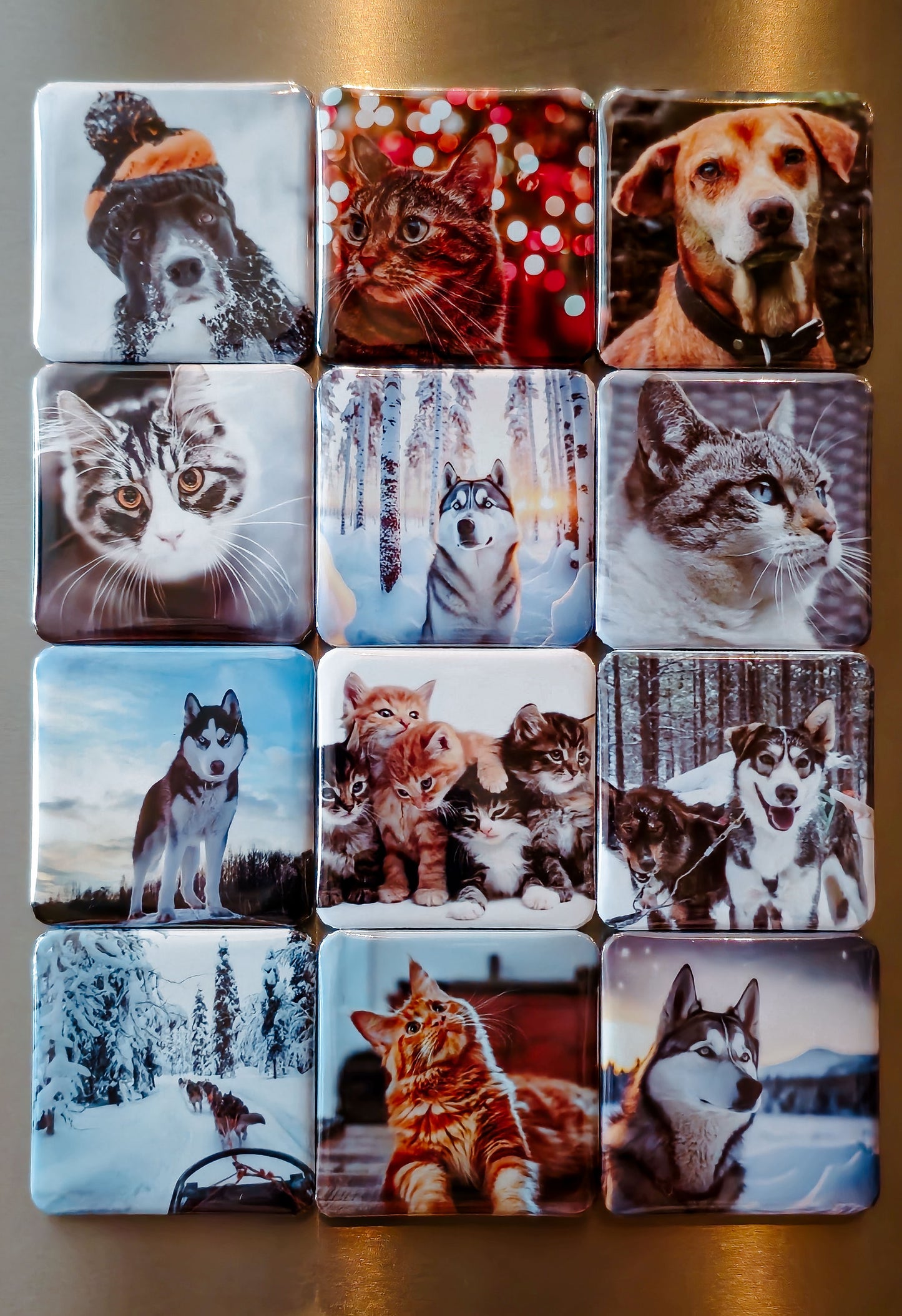 2x2" Photo Magnets