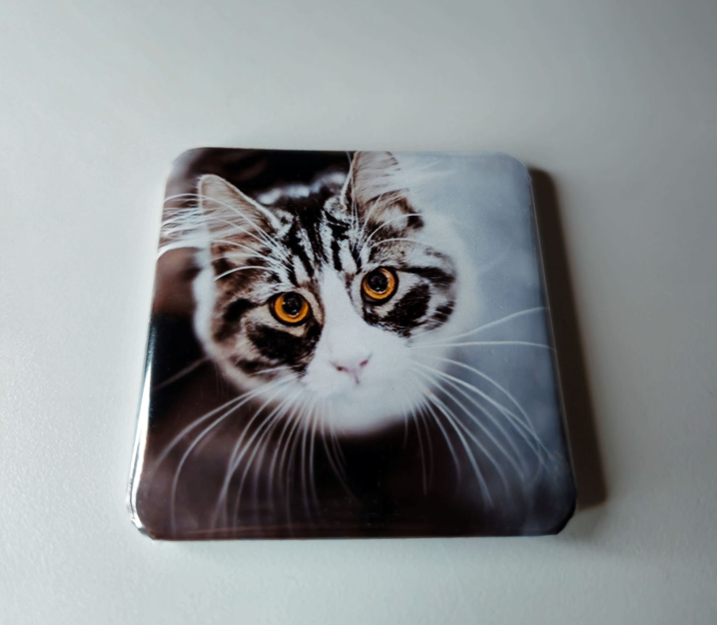 2x2" Photo Magnets